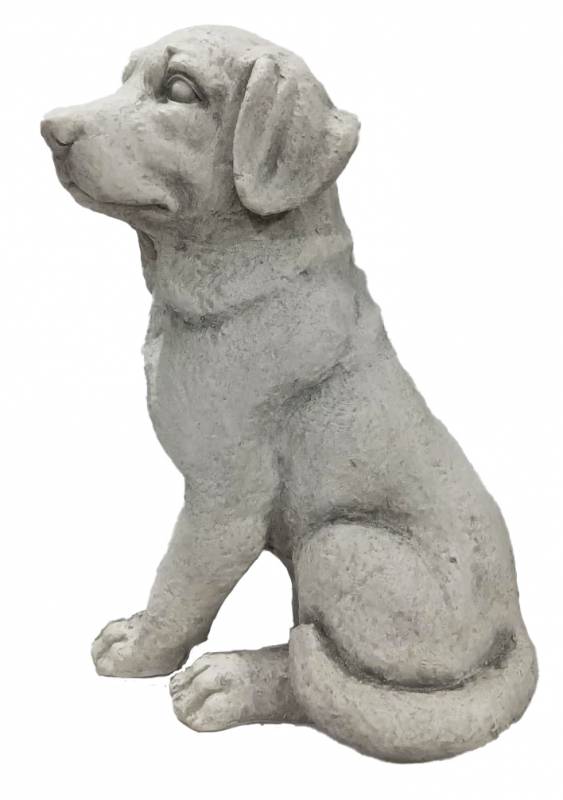 Leo Dog Statue