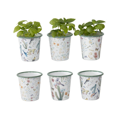 Set of Six Assorted Spring-Colour Planters