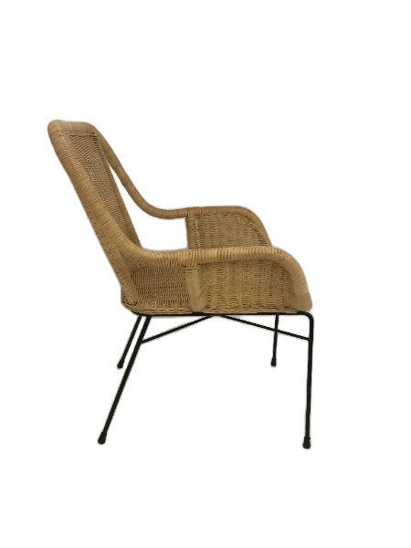 Palmview Armed Dining Chair