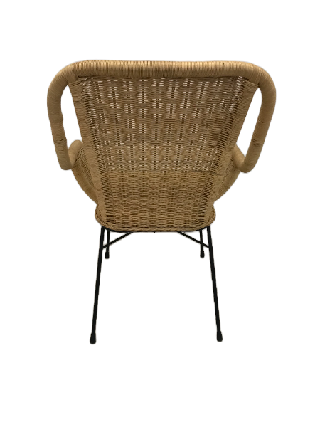 Palmview Armed Dining Chair