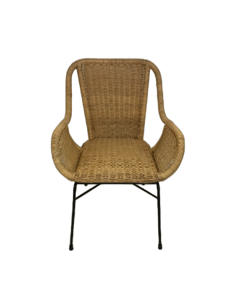 Palmview Armed Dining Chair