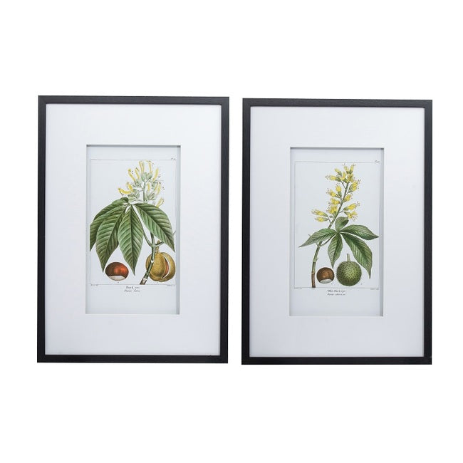 Set of 2 Leaves Flowers & Fruit Wall Art