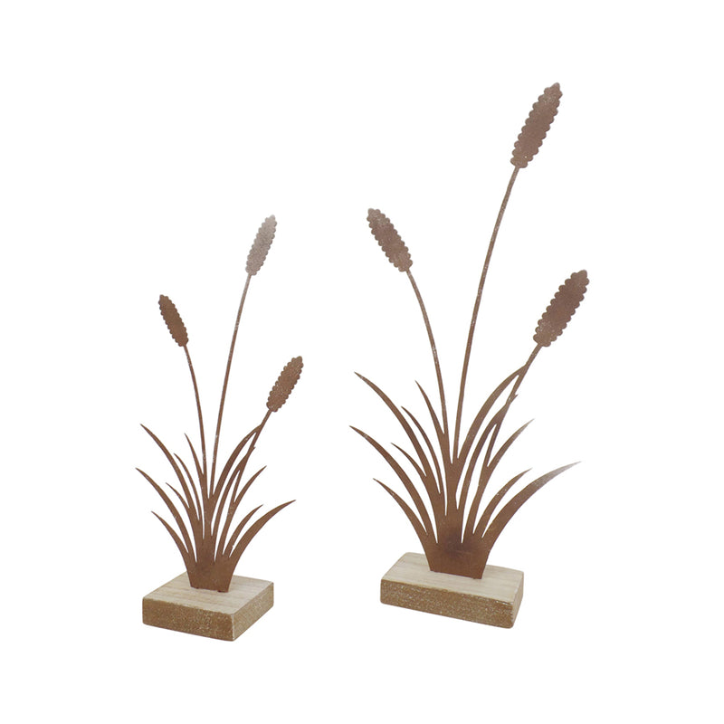 Set of 2 Assorted Size Rust Bulrushes on Base