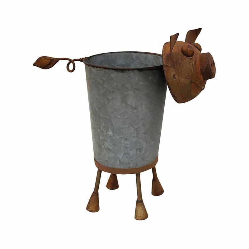 Rusty Pig Planter with Galvanised Pot