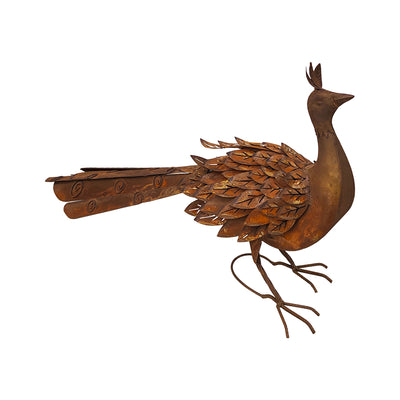 Rust Peacock