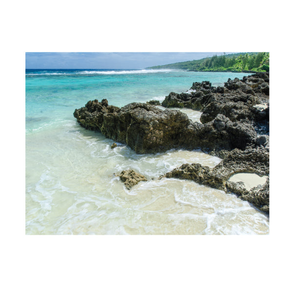 Reef Side Canvas B