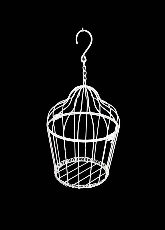 Amber Round Bird Cage
