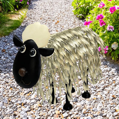 Dolly Sheep