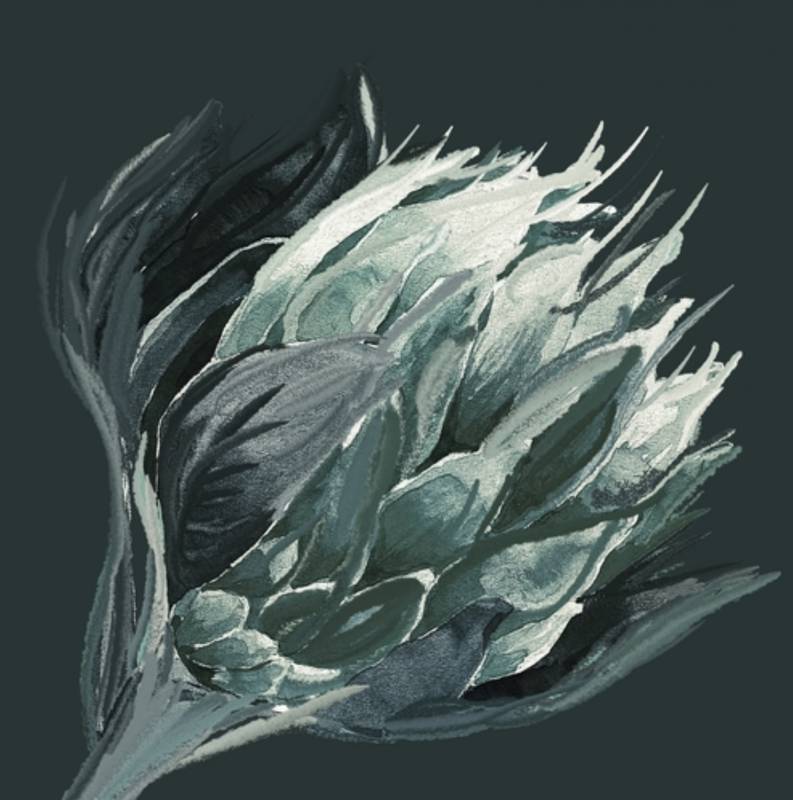 Protea Canvas