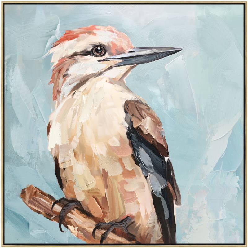 Gabe Kookaburra Canvas