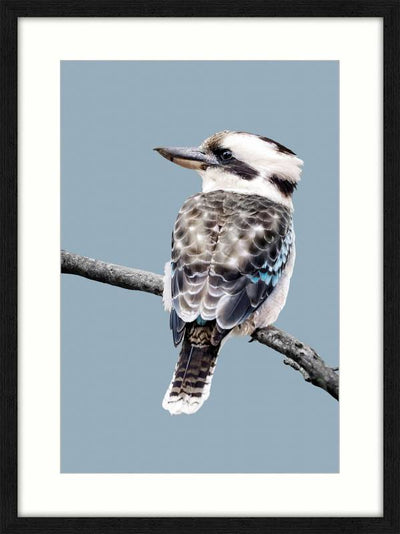 Kookaburra Artwork