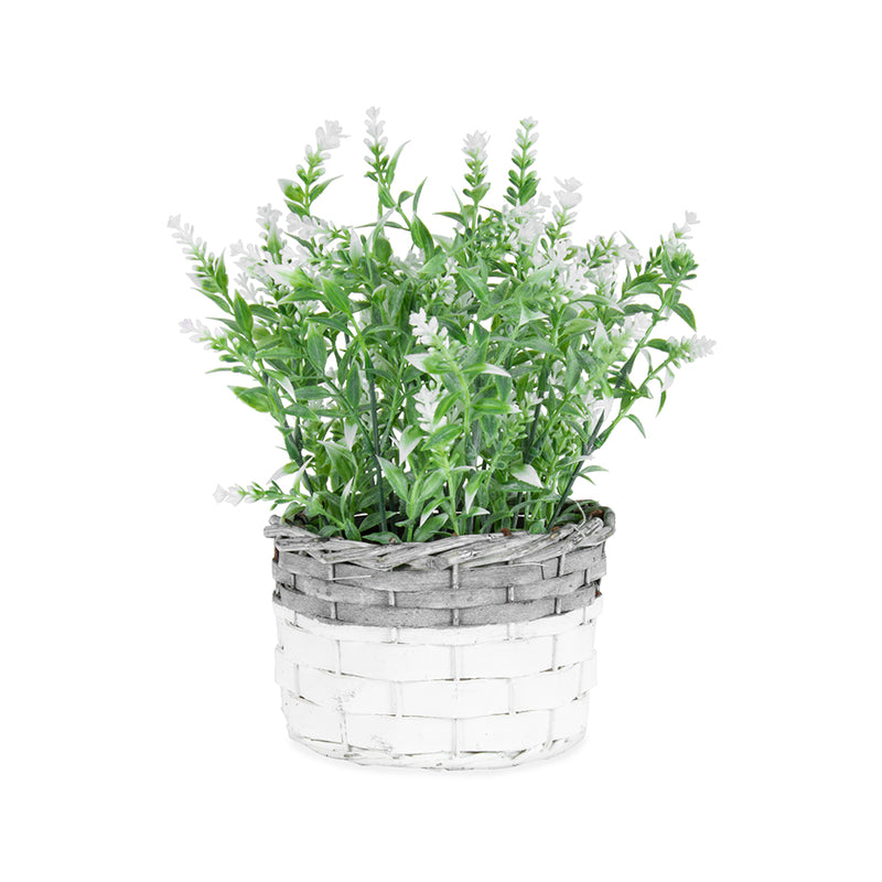 White Stem Flower in Basket