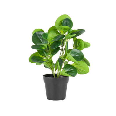 Potted Artificial Coin-Leaf Peperomia