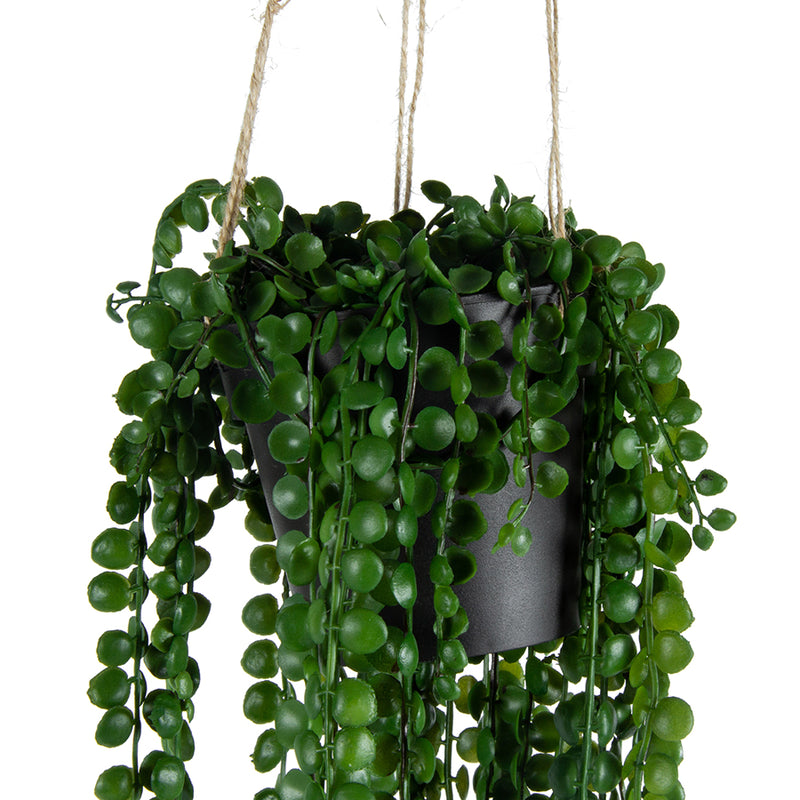 Potted Hanging Artificial Coin-Leaf Peperomia
