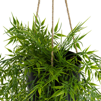 Potted Hanging Artificial Willow on Rope