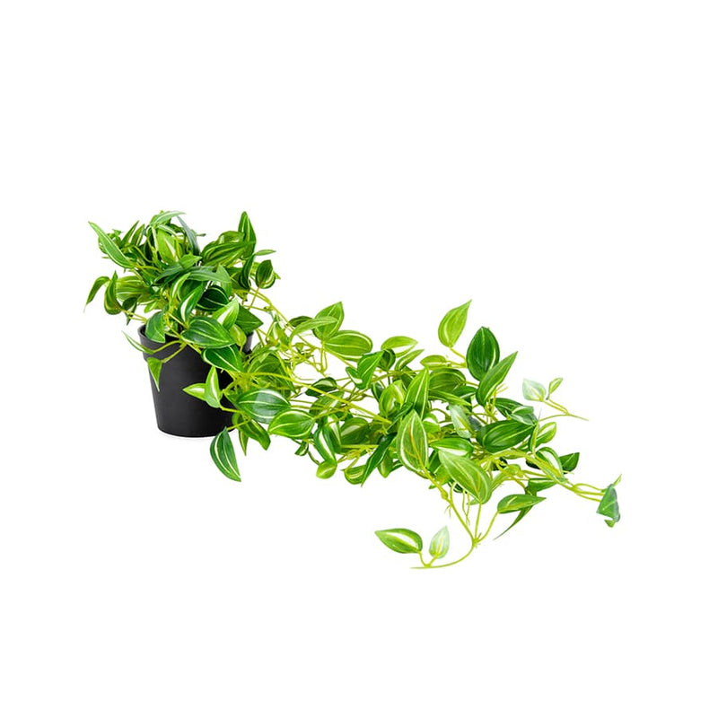 Potted Hanging Artificial Green Weeper