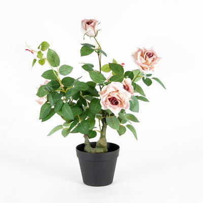 Potted Artificial Lagerfeld Rose