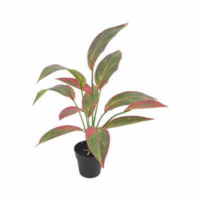Potted Artificial Ruby Ficus