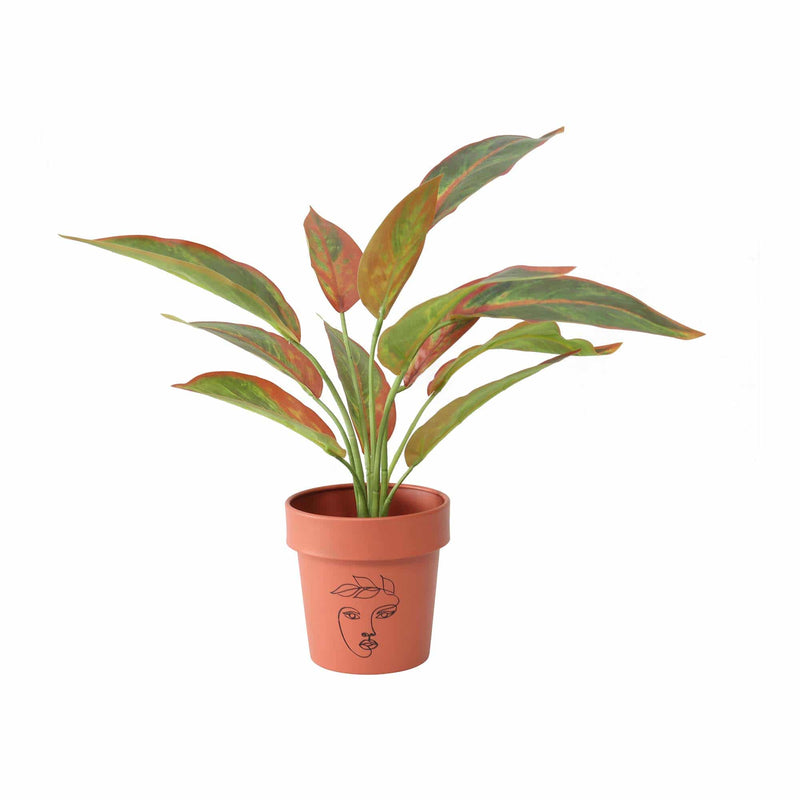 Potted Artificial Ruby Ficus
