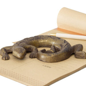 Curled Up Gecko Paperweight Decor
