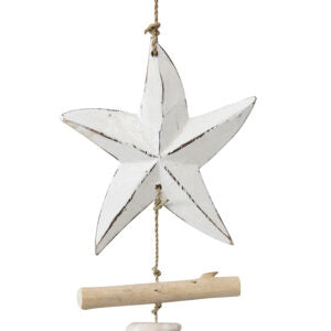 Handcrafted Starfish with Driftwood Hanger