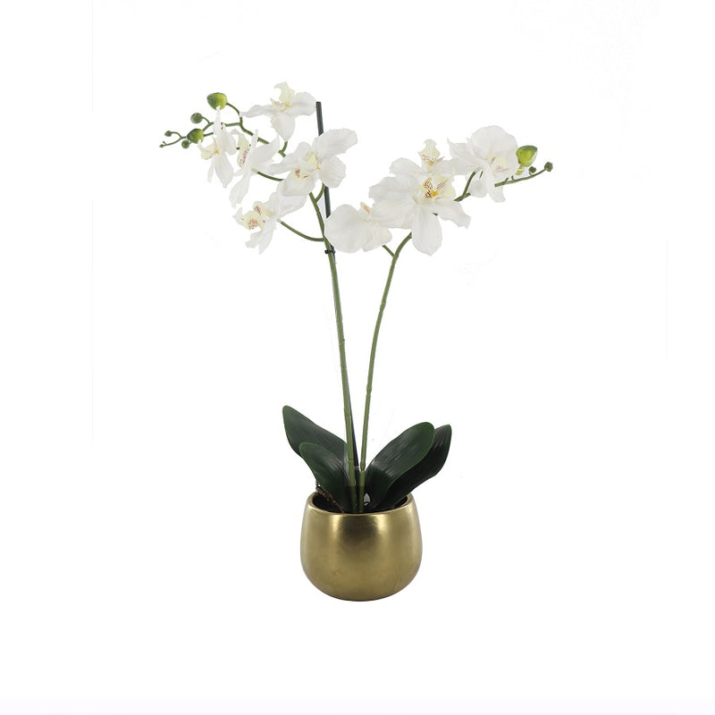 Kamala Artificial Orchid in Luxe Ceramic Pot