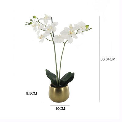 Kamala Artificial Orchid in Luxe Ceramic Pot