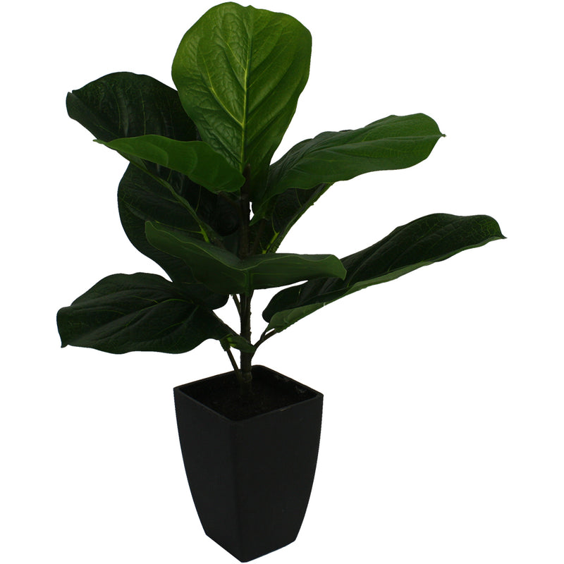 Potted Artificial Baby Fiddle-Leaf Fig Plant