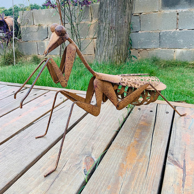 Lucky Praying Mantis