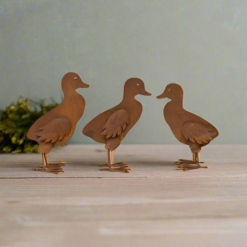 Baby Ducks for Garden Set of 3