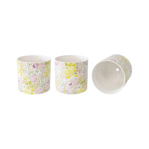 Set of 3 Countryside Flowers Planters with Hole And Plug