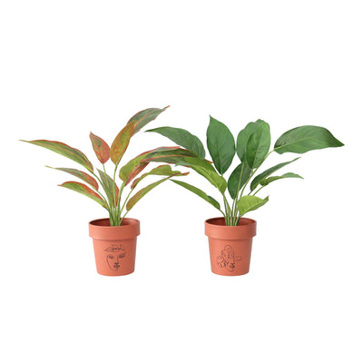 Set of 2 Assorted Line-Art Pot Planters