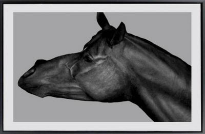 Horse Head Equestrian Canvas
