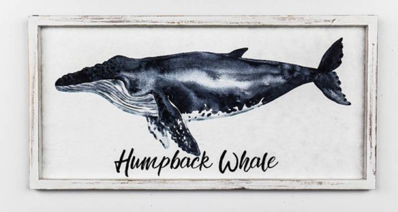 Humpback Whale Printed Canvas