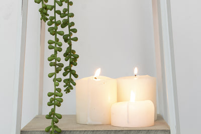 Long String Pearls Artificial Plant